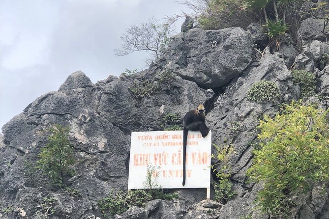 Full day trip to Lan Ha-Ha Long Bay from Cat Ba, avoid the crowds - Starting from Cat Ba at 8:30 a.m.