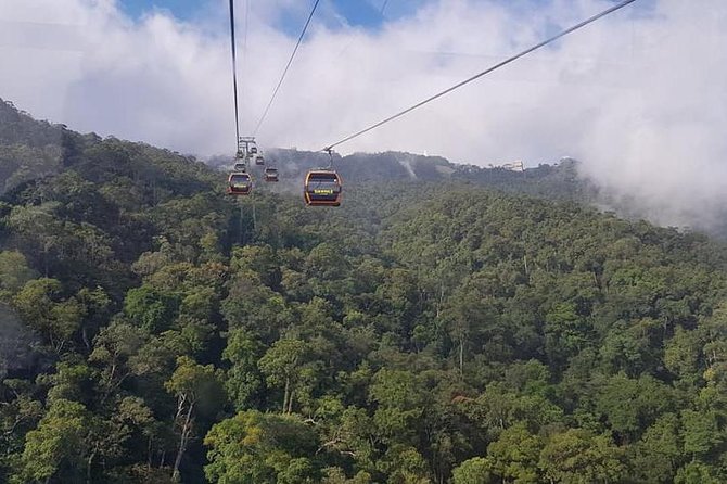 Guided Fullday Tour :Golden Bridge,Dragon Bridge,Marble Mountain,Monkey Mountain - Dragon Bridge and Da Nang’s modern identity