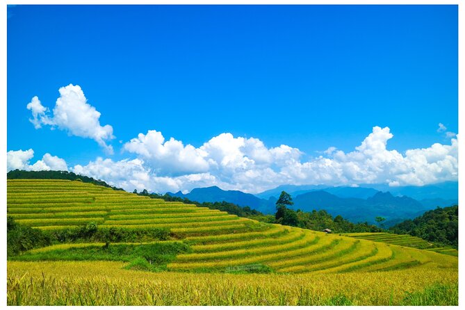 Ha Giang Loop 2D/1N Private Room + Free Dorm Hotel 1N before tour - The first climb from Ha Giang to Quan Ba