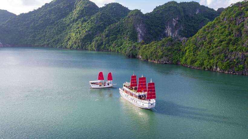 Ha Long Bay - Bai Tu Long Bay Luxury Boat Tour & Transfer - Luon Cave by kayak or bamboo boat