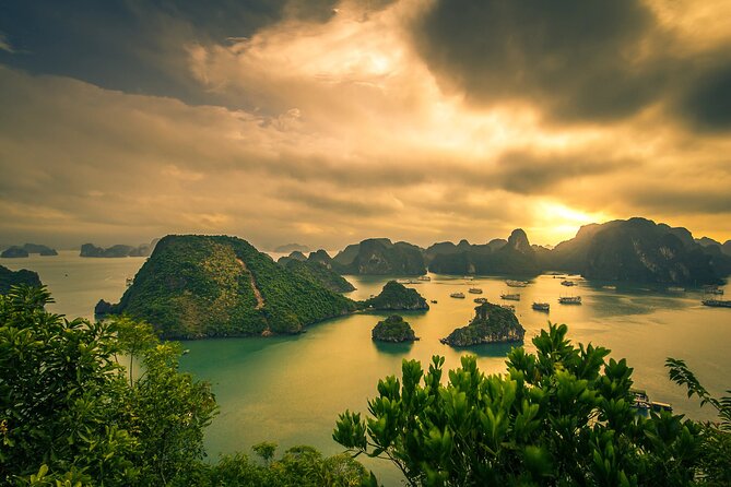 Ha Long Bay Cruise Day Tour-Cave, Kayaking,Ti top island & Lunch - Lunch on board: plentiful, but not a sure highlight