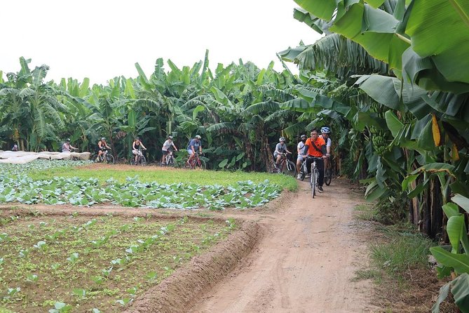 Half-Day Bicycle Tour Combine City & Countryside + Train Street - Why this route gives you more than a city bike ride