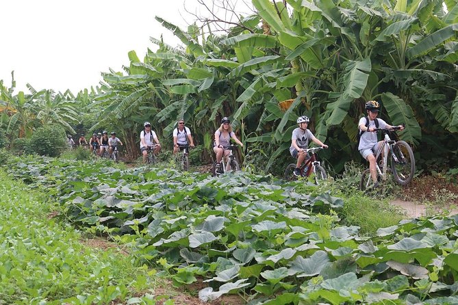 Half-Day Bicycle Tour Combine City & Countryside + Train Street - Guides, group size, and the feel of the ride
