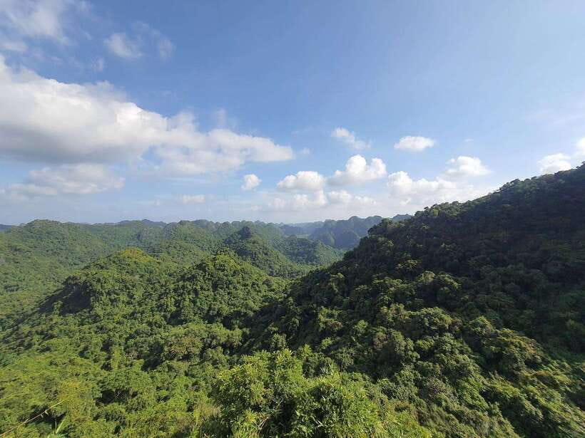 Half Day Hiking to Cat Ba National Park with a Guide - What this four-hour Cat Ba outing is really like