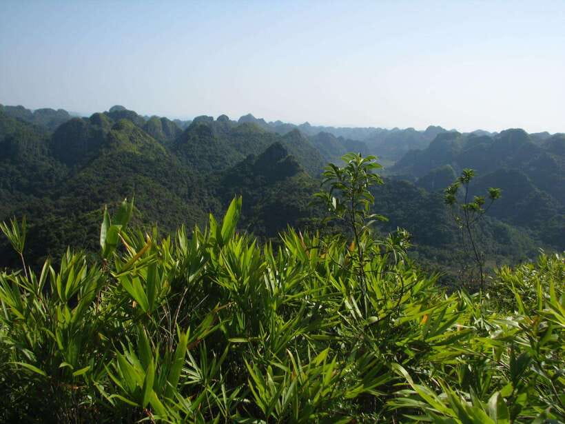 Half Day Hiking to Cat Ba National Park with a Guide - The view from 220 meters