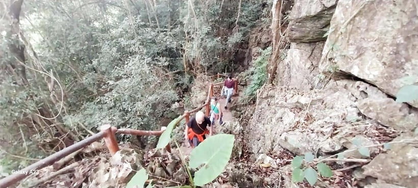 Half Day Hiking to Cat Ba National Park with a Guide - Chua Linh Quang and the Buddhist finish