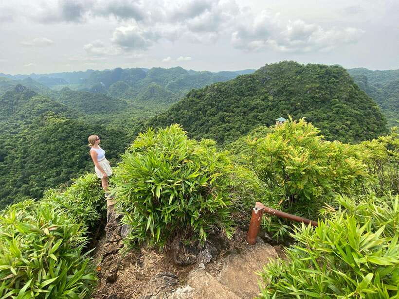 Half Day Hiking to Cat Ba National Park with a Guide - The climb to Ngu Lam Peak