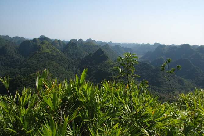 Half Day Hiking to Discover Cat Ba National Park with a Guide - Trung Trang and the sound of dripping water