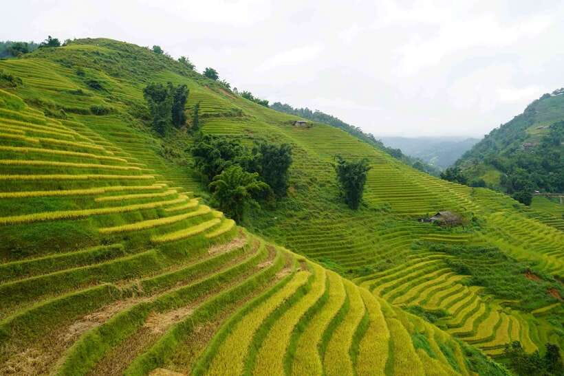 Half Day Sapa Trekking to Visit Lao Chai - Ta Van - Key points to know before booking