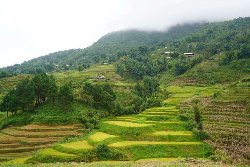 Half Day Sapa Trekking to Visit Lao Chai - Ta Van - Who should book this Sapa trek?