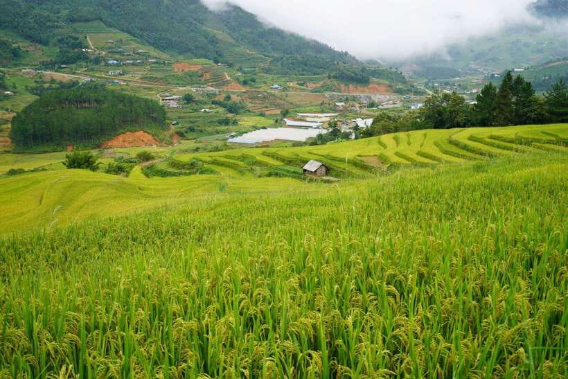 Half Day Sapa Trekking to Visit Lao Chai - Ta Van - Continuing to Ta Van, home of the Dzay