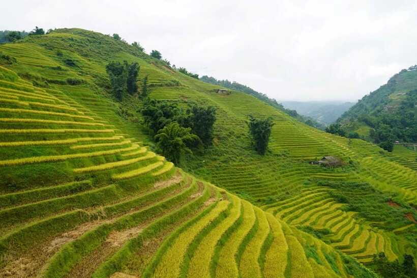 Half Day Sapa Trekking to Visit Lao Chai - Ta Van - Weather, crowds, and the feel of the route