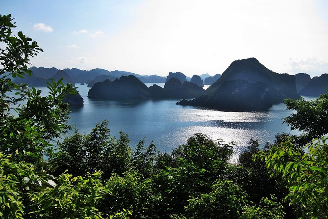 Halong Bay Cruise - Day Tours - Why this day trip works for a short Hanoi visit