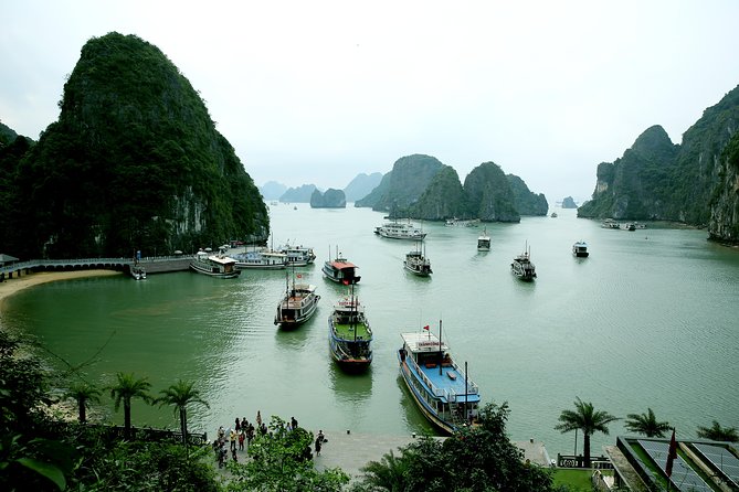 Halong Bay Cruise Tour from Hanoi with Kayak Adventure - The 8:00 a.m. Hanoi pickup
