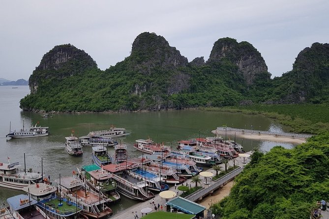 Halong Bay Cruise Tour from Hanoi with Kayak Adventure - Reaching Tuan Chau harbor around noon