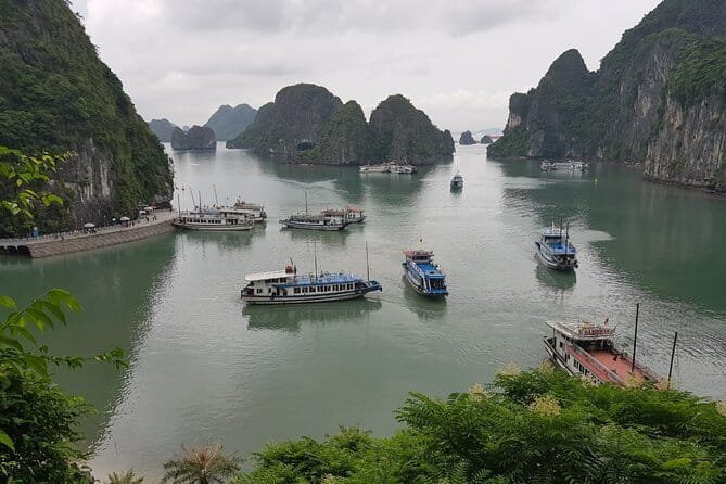 Halong Bay Shore Excursion: Full Day Cruise Tour from Cruise Port - The cave stop brings the hardest walking