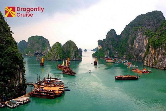 Halong Islands, Cave, Kayak, Bamboo Day Tour w Dragonfly Cruise - Lunch aboard Dragonfly Cruise