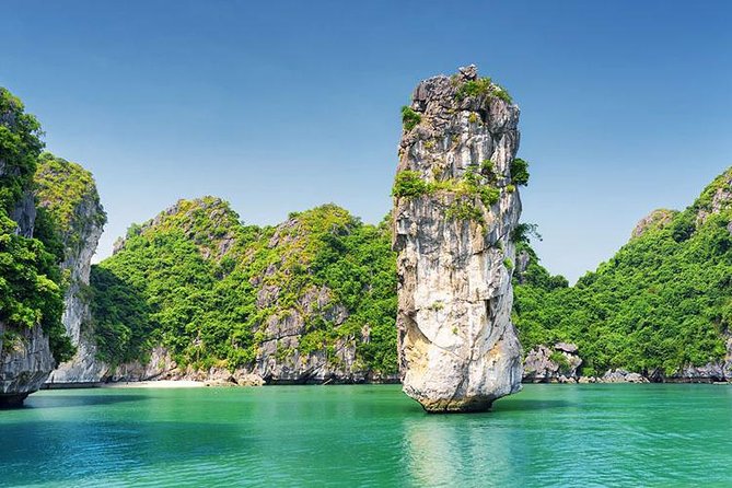 Halong Luxury Cruise Full Day Tour from Hanoi: All Inclusive - Vietnamese lunch, drinks, and the sunset tea break