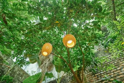 Hanoi Cooking Class: Culture, Local Market & Meaning CSR Impact