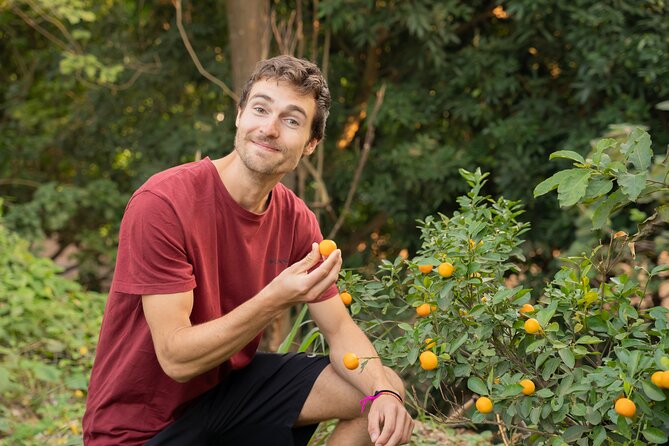 Hanoi Cooking Class in a Haven of Tranquility - Thom culinary - From Hanoi’s streets to Thom Culinary’s quiet garden