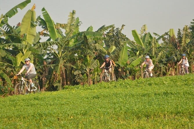 Hanoi Countryside By Bike & Local House and Food Tasting - Co Loa Citadel and the story of rice wine