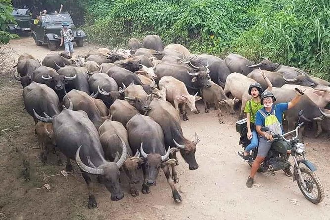 Hanoi Countryside Motorbike Tour: Red River Culture & Daily Life - Key things to know before booking
