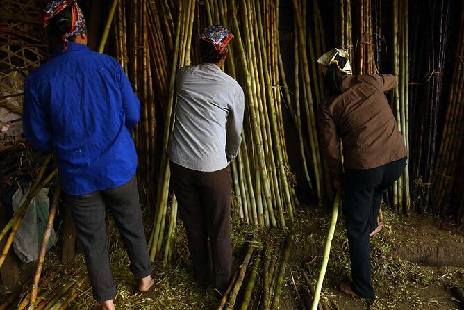 Hanoi Explorer Photo Tour - What the guide actually adds