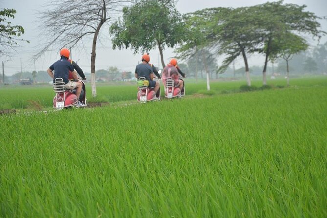 Hanoi Food Tours: Hanoi Foodie Scooter Tour Led By Women - Starting with banh cuon in the French Quarter