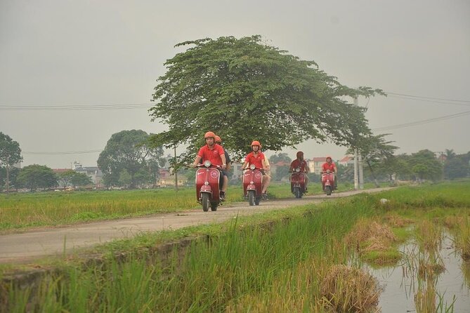 Hanoi Food Tours: Hanoi Foodie Scooter Tour Led By Women - Bun cha at a family-run restaurant