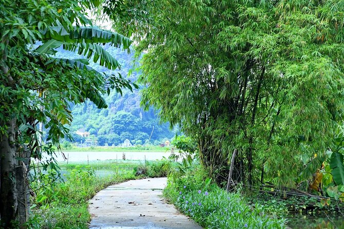 Hanoi Full Day A Private Tour With Mix of History and Activities - Museum of Ethnology: a wider view of Vietnam