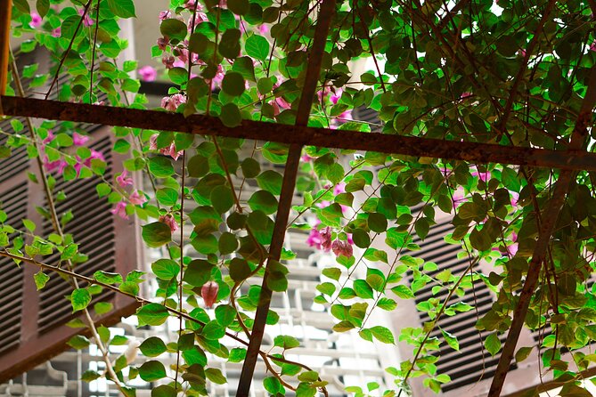 Hanoi: Handcrafted Wood Carving Workshop with Local Artisan - The villa setting and complimentary drink