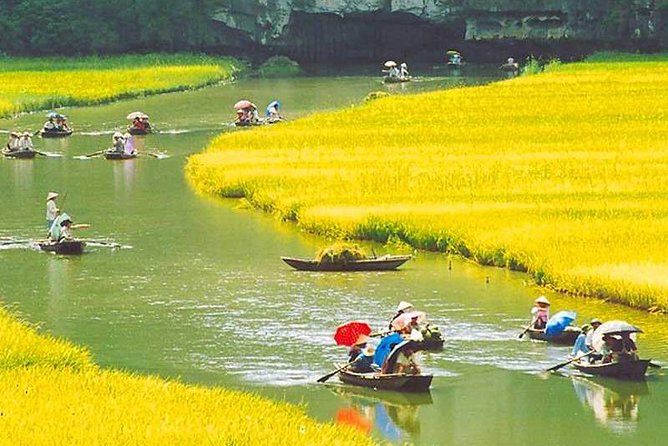 Hanoi - Hoa Lu - Tam Coc - Mua Cave - 1 Day / By Luxury Limousine & Small Group - Why this Ninh Binh day trip works from Hanoi