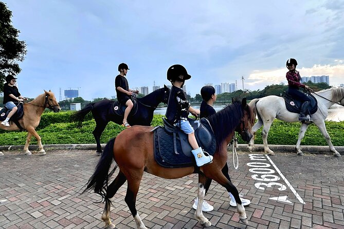 Hanoi Horseback Riding Club & Tours - Exclusive Experience - Painting a horseshoe and feeding the horses