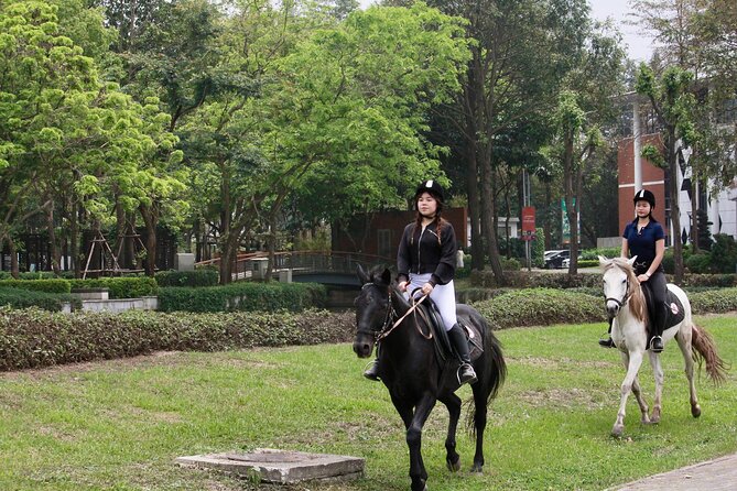 Hanoi Horseback Riding Club & Tours - Exclusive Experience - Starting with horses at Gamuda Gardens