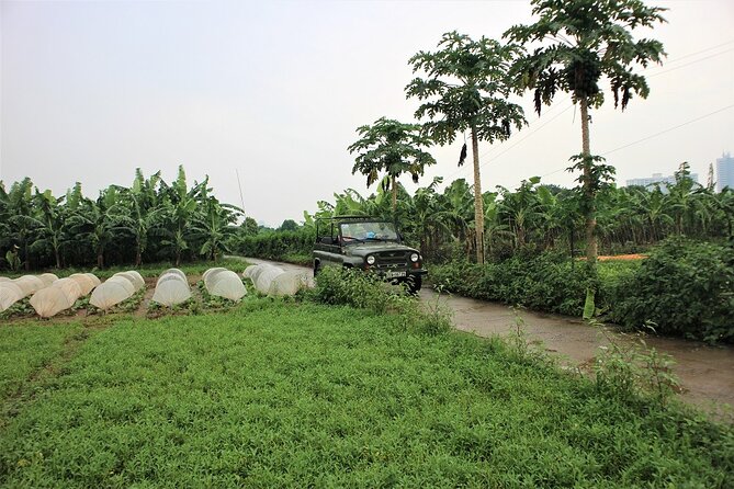 Hanoi Jeep Tours Led By Women: Hanoi Countryside By Legend Jeep - Cổ Loa Citadel puts the countryside in context