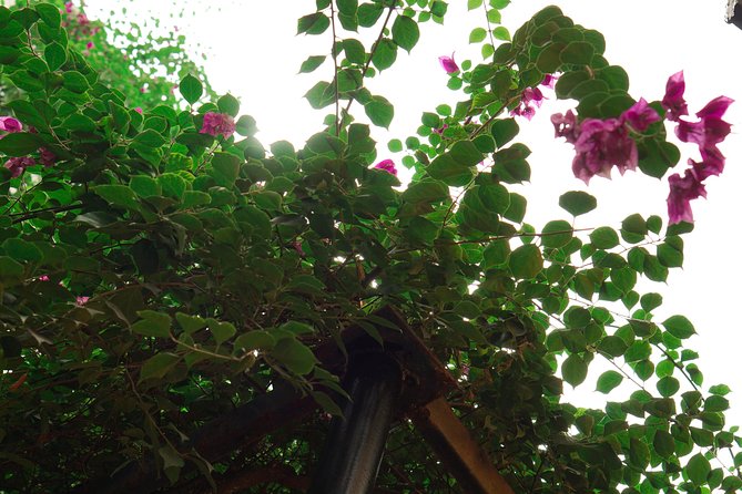 Hanoi Market & Villa Cooking Class: Free Old Quarter Transfer - Practical booking advice for a smooth visit