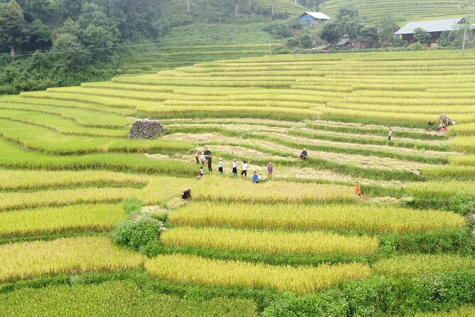 Hanoi - Sapa 2 Days 1 Night Overnight At Local Homestay - What the $95 price really covers