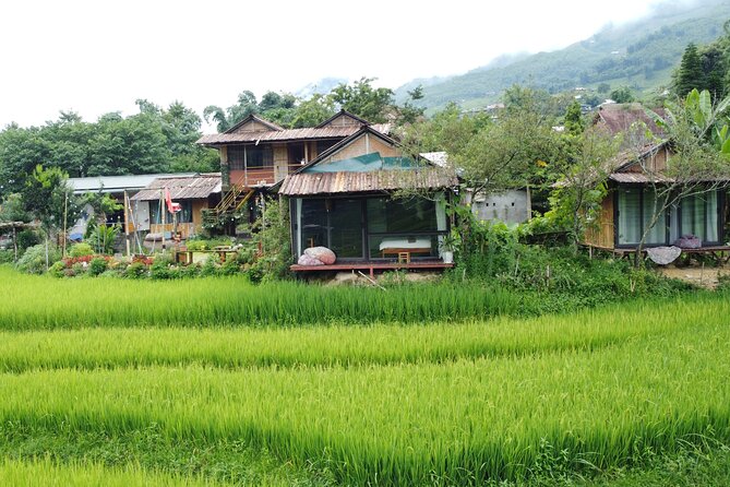 Hanoi - Sapa 2 Days 2 Nights With Fansipan by cable car - The Red Dao route to Giang Ta Chai and Supan
