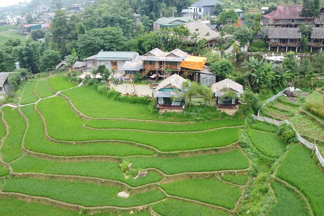 Hanoi - Sapa 3 Day 2 Night Trekking With Hotel & Homestay - Guide service and group size