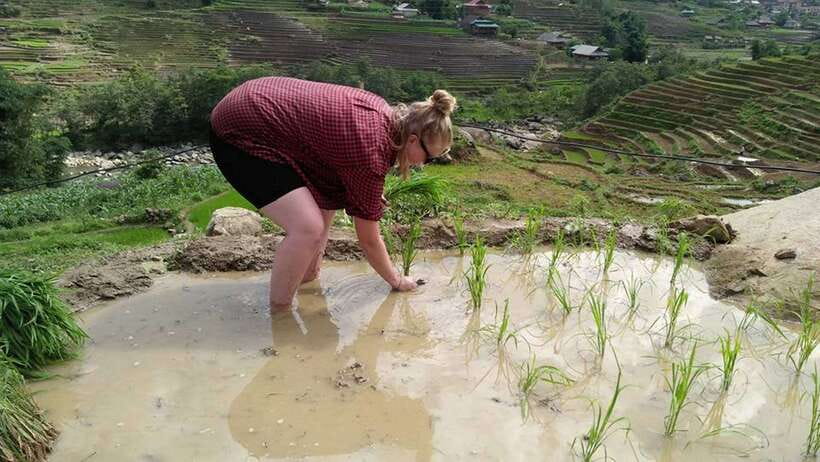 Hanoi- SaPa: 3-Day Homestay Trek to Explore Ethnic cultures - Day Two: Bamboo Forests and Ban Ho