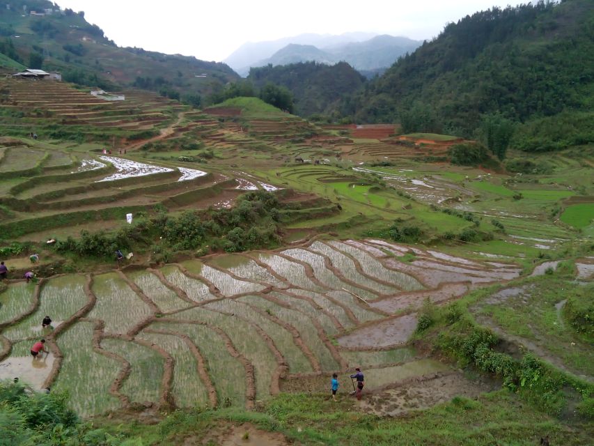 Hanoi- SaPa: 3-Day Homestay Trek to Explore Ethnic cultures - Day Three: Sunrise in Ban Ho and Nam Tong
