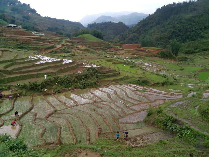Hanoi- SaPa: 3-Day Homestay Trek to Explore Ethnic cultures - The Rice Terraces and the Weather Gamble