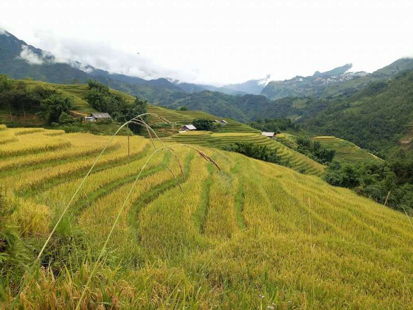 Hanoi- SaPa: 3-Day Homestay Trek to Explore Ethnic cultures - Is $139 Good Value?