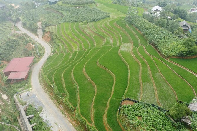 Hanoi - Sapa 3 Days - 2 Nights Trekking with With the locals - Who should book this Sapa itinerary?