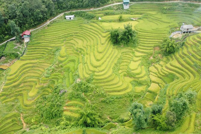 Hanoi - Sapa 3 Days - 2 Nights Trekking with With the locals - Day 1: Hanoi to Sapa, then Cat Cat Village