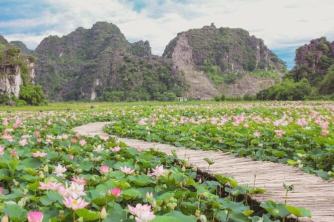 Hanoi to Ninh Binh Day Trip: Mua Cave, Trang An Boat Ride - Lunch - The two-hour sampan trip through Trang An