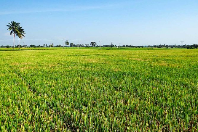 Hanoi Vespa Countryside Tour With Female Ao Dai Riders Half Day - The guide makes the difference