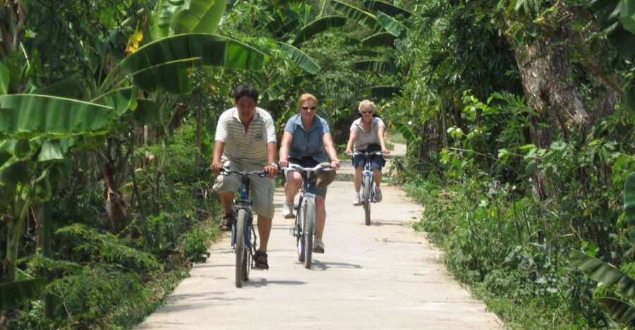 HCM: Mekong Delta, My Tho & Ben Tre Coconut Village - From Ho Chi Minh City to the Mekong Delta