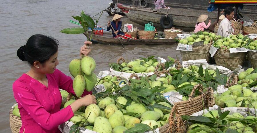 HCMC: Cai Rang Floating Market & Mekong Delta Private Tour - Key points to know
