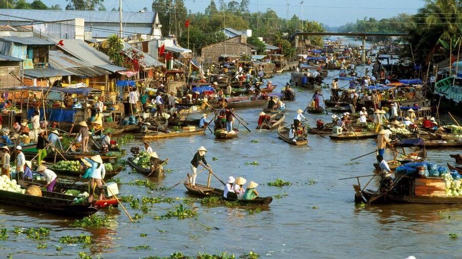 HCMC: Cai Rang Floating Market & Mekong Delta Private Tour - The real cost is time, not money